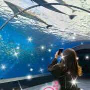 ヒメ日記 2025/12/26 14:13 投稿 風見とあ ミスターダンディー