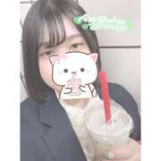 よつば よつば（エコ日本橋店） スピードエコ日本橋店