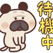 ヒメ日記 2026/01/23 11:54 投稿 山本 MadameRest(マダムレスト)