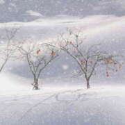 ヒメ日記 2026/02/08 10:31 投稿 山本 MadameRest(マダムレスト)