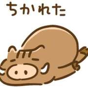 ヒメ日記 2026/02/25 22:02 投稿 山本 MadameRest(マダムレスト)