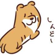 ヒメ日記 2026/03/13 12:50 投稿 山本 MadameRest(マダムレスト)