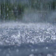 ヒメ日記 2026/03/23 08:54 投稿 山本 MadameRest(マダムレスト)