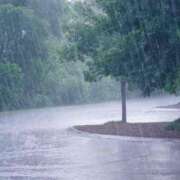 ヒメ日記 2026/04/07 11:03 投稿 山本 MadameRest(マダムレスト)