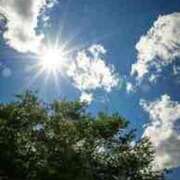 ヒメ日記 2026/04/25 12:40 投稿 山本 MadameRest(マダムレスト)