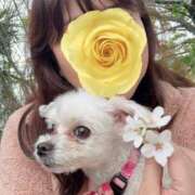 ヒメ日記 2026/04/09 17:41 投稿 鏡真珠 アラフォーna奥様 アラフィフna奥様（埼玉ハレ系）