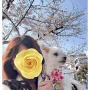 ヒメ日記 2026/04/16 08:28 投稿 鏡真珠 アラフォーna奥様 アラフィフna奥様（埼玉ハレ系）