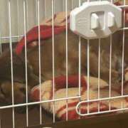 小野寺 しずく 『初対面で驚かれる理由🤔』   人妻セレブ宮殿