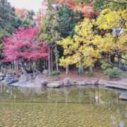 ヒメ日記 2025/12/23 09:08 投稿 いおり 熟女総本店