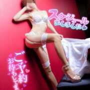 ヒメ日記 2026/01/25 12:20 投稿 桜木　さく 雅(みやび)