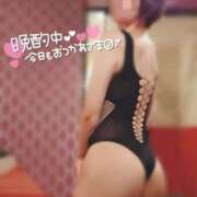 ヒメ日記 2026/02/10 22:19 投稿 桜木　さく 雅(みやび)