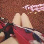 ヒメ日記 2026/03/08 08:12 投稿 桜木　さく 雅(みやび)