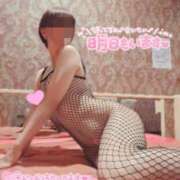 ヒメ日記 2026/03/17 22:19 投稿 桜木　さく 雅(みやび)