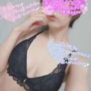 ヒメ日記 2026/04/16 22:18 投稿 桜木　さく 雅(みやび)