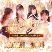 ヒメ日記 2026/04/18 11:33 投稿 桜木　さく 雅(みやび)