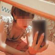 ヒメ日記 2026/04/24 07:18 投稿 桜木　さく 雅(みやび)