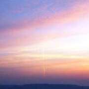 ヒメ日記 2026/04/27 06:33 投稿 桜木　さく 雅(みやび)