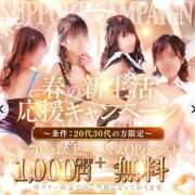 ヒメ日記 2026/04/28 20:19 投稿 桜木　さく 雅(みやび)