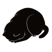 ヒメ日記 2026/02/21 23:03 投稿 河北あや 雅(みやび)