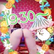 ヒメ日記 2026/01/24 15:19 投稿 朝丘　あおい 雅(みやび)