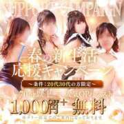 ヒメ日記 2026/04/09 09:57 投稿 朝丘　あおい 雅(みやび)