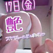 ヒメ日記 2026/07/16 09:03 投稿 朝丘　あおい 雅(みやび)