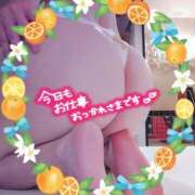 ヒメ日記 2026/08/16 19:19 投稿 朝丘　あおい 雅(みやび)