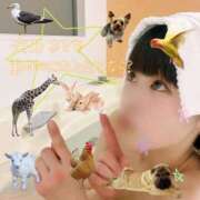 ヒメ日記 2025/12/14 17:12 投稿 海乃 おと☆沼落ちNO１ 雅(みやび)