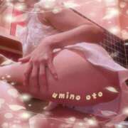 ヒメ日記 2025/12/14 20:19 投稿 海乃 おと☆沼落ちNO１ 雅(みやび)