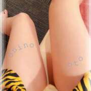 ヒメ日記 2026/02/01 20:19 投稿 海乃 おと☆沼落ちNO１ 雅(みやび)