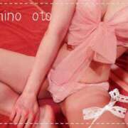 ヒメ日記 2026/02/26 22:19 投稿 海乃 おと☆沼落ちNO１ 雅(みやび)