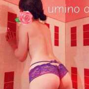 ヒメ日記 2026/02/28 22:18 投稿 海乃 おと☆沼落ちNO１ 雅(みやび)