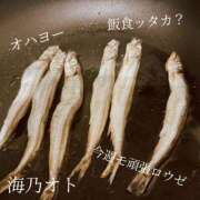 ヒメ日記 2026/03/02 07:18 投稿 海乃 おと☆沼落ちNO１ 雅(みやび)