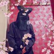 ヒメ日記 2026/03/03 07:18 投稿 海乃 おと☆沼落ちNO１ 雅(みやび)