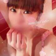 ヒメ日記 2026/03/05 12:19 投稿 海乃 おと☆沼落ちNO１ 雅(みやび)