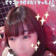 ヒメ日記 2026/04/10 09:57 投稿 海乃 おと☆沼落ちNO１ 雅(みやび)