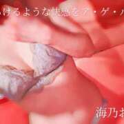 ヒメ日記 2026/04/12 07:03 投稿 海乃 おと☆沼落ちNO１ 雅(みやび)