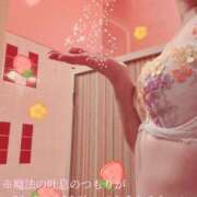 ヒメ日記 2026/05/02 07:12 投稿 海乃 おと☆沼落ちNO１ 雅(みやび)