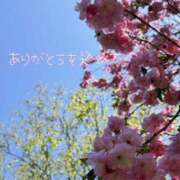 ヒメ日記 2026/05/15 18:19 投稿 海乃 おと☆沼落ちNO１ 雅(みやび)