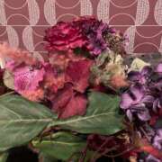 ヒメ日記 2025/12/12 20:03 投稿 沢木 しのぶ☆指名率98％? 雅(みやび)