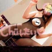 ヒメ日記 2026/04/13 06:18 投稿 橘 ゆきな☆まじめな変態 雅(みやび)