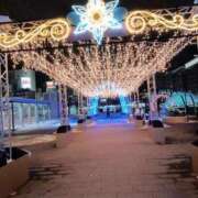 ヒメ日記 2025/12/13 21:03 投稿 一ノ瀬こころ 雅(みやび)