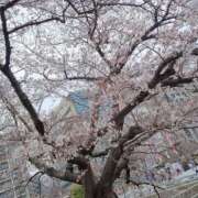 一ノ瀬こころ まさかの😱 雅(みやび)