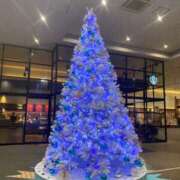 ヒメ日記 2025/12/17 19:04 投稿 若槻 のどか☆魅惑の神テク美魔女 雅(みやび)