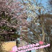 ヒメ日記 2026/04/20 16:27 投稿 桐谷 さな☆極上のア〇ルをぜひ♡ 雅(みやび)