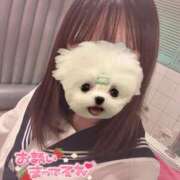 ヒメ日記 2026/01/04 04:09 投稿 るい エデンR