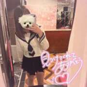 ヒメ日記 2026/01/12 23:13 投稿 るい エデンR