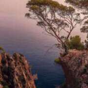 みらい 柳楽さん🥰 柏人妻花壇