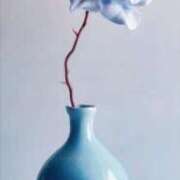 みらい 御礼 柏人妻花壇