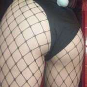 ヒメ日記 2025/12/18 19:45 投稿 しろな JAPAN CLUB BUNNY LOUNGE